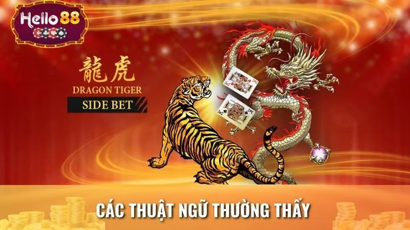 Các thuật ngữ thường thấy